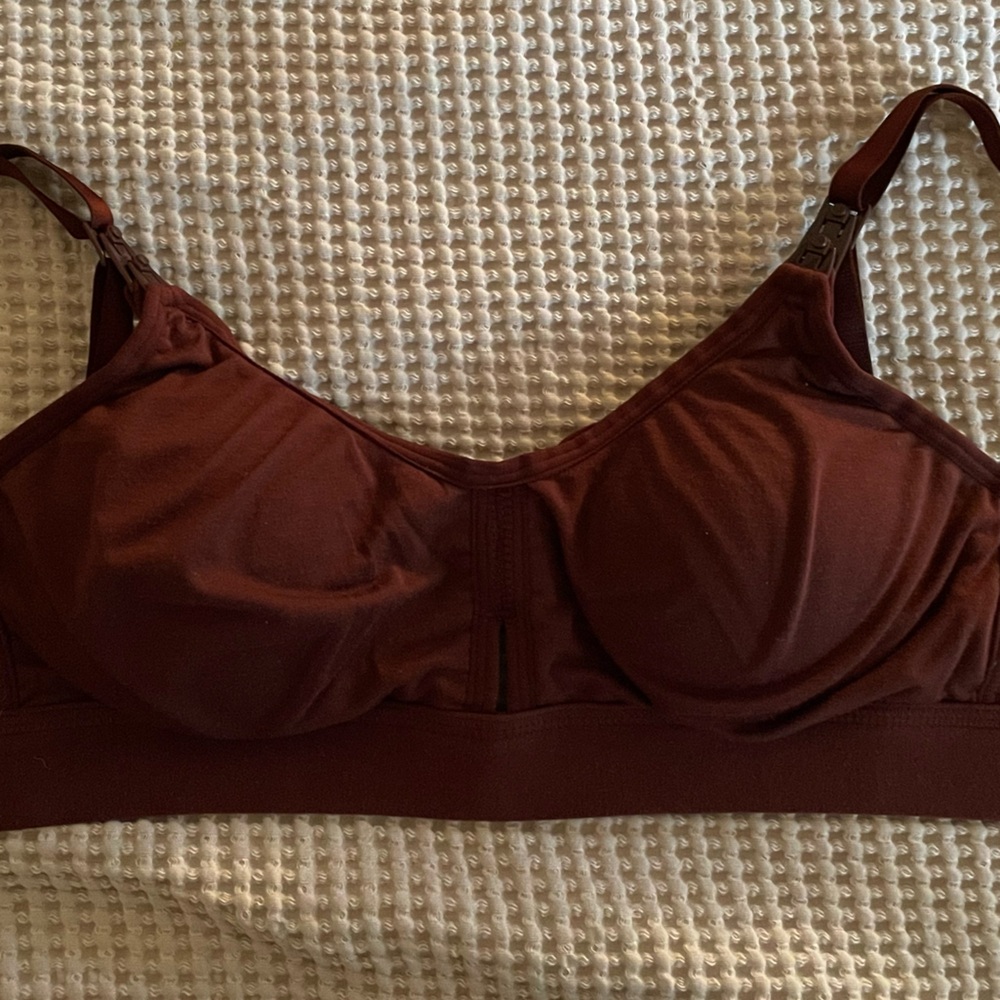 Cranberry Maroon Nursing Bra